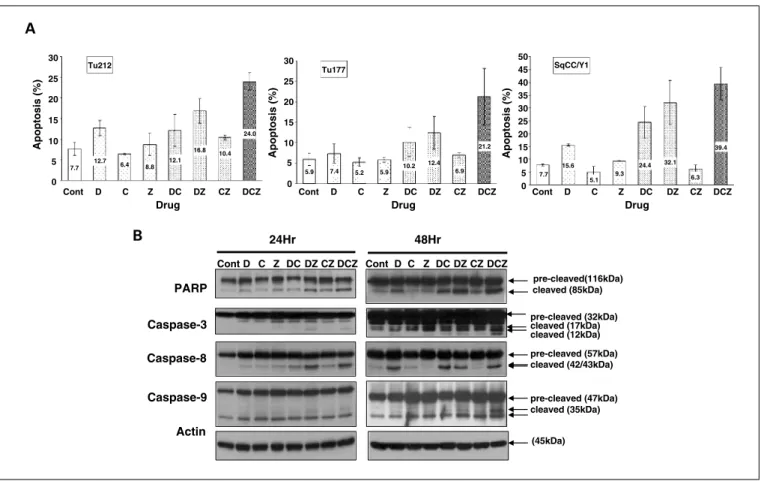 Fig. 2. Effect of the combined drugs on apoptosis. The effects of each single drug and the combinations on apoptosis were analyzed in three SCCHN cell lines (Tu212, Tu177, and SqCC/Y1) using flow cytometry