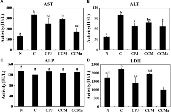 Fig. 1. Effect of CPJ, CCM and CCMα on the serum enzyme activities of AST (A), ALT (B), ALP (C) and LDH (D) in carbon tetrachloride-induced hepatic damage in rats