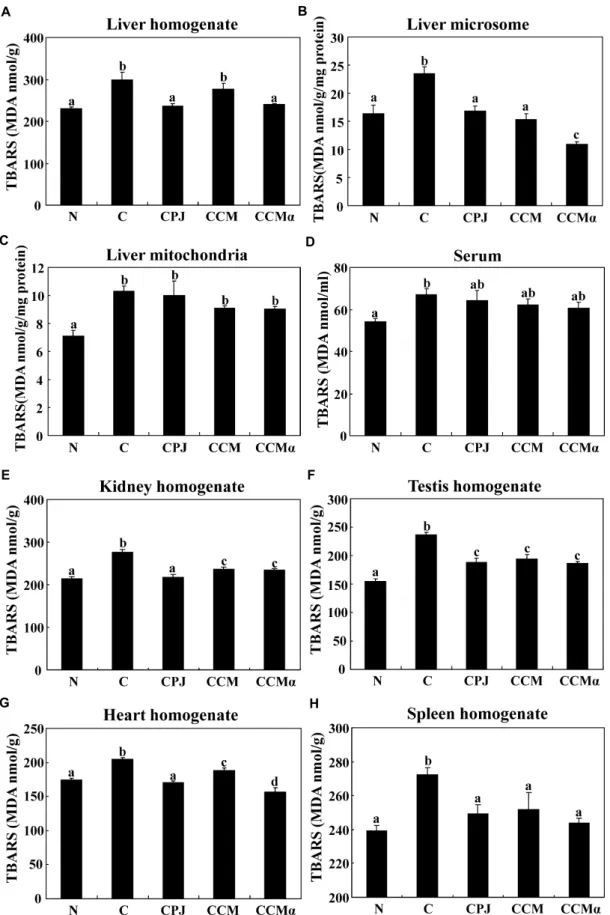 Fig. 2. Effect of CPJ, CCM and CCMα  on TBARS (A, B, C, D, E, F, G, H) in carbon tetrachloride-induced hepatic damage in rats