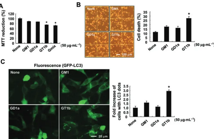 Figure 8 The ganglioside GT1b induced autophagic cell death of astrocytes. Primary astrocytes were treated with indicated concentrations of GM1, GD1a, GT1b or the ganglioside mixture (Gmix; 50 mg·mL -1 ) for 72 h