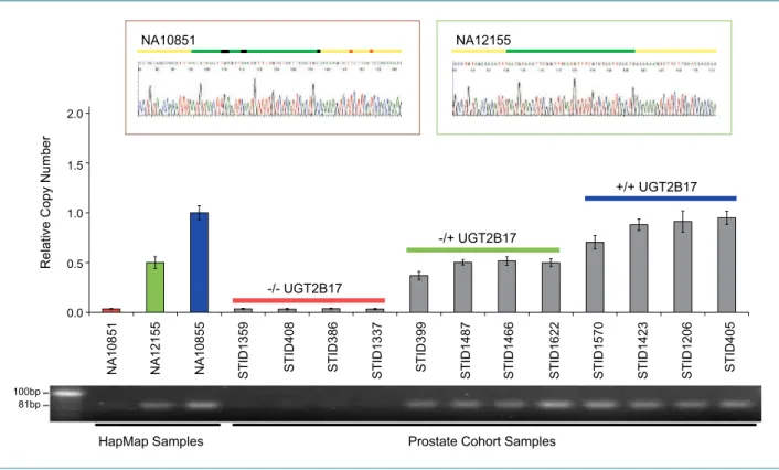 Figure 2. Confirmation of the copy number state of UGT2B17 by qPCR. Three HapMap samples and 12 samples from the Tyrol PSA Screening Cohort were selected based on known copy number states (HapMap, far left) and array-based copy number data