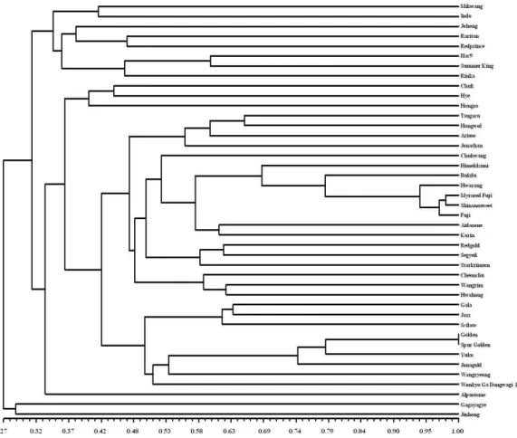 Fig. 3. Dendrogram of 42 apple varieties using microsatellite markers. The scale at the bottom is Jaccard’s coefficient of similarity