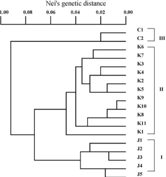 Fig. 1. A dendrogram showing the genetic relationships among 18 populations of P. asiatica , based on allozyme variation.