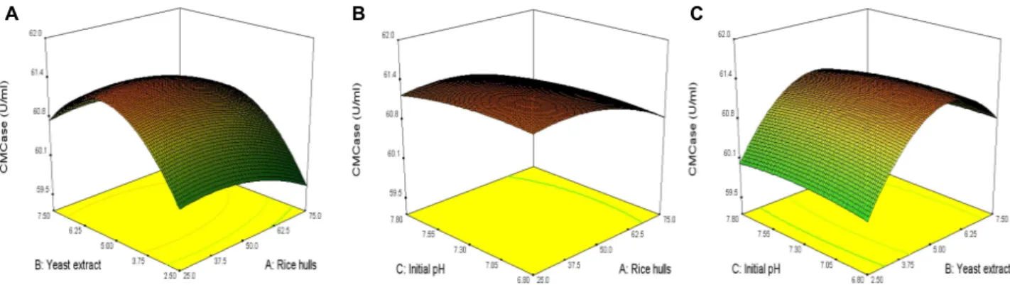 Fig. 4. 3D response surface displaying relative combined effects of rice hulls and yeast extract (A), rice hulls and initial pH (B), and yeast extract and initial pH (C) on production of CMCase by B