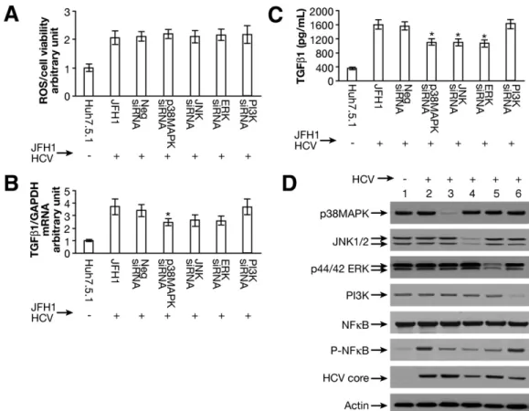 Figure 3. Effects of siRNA to p38 MAPK, JNK, ERK, or PI3K on ROS production and TGF- ␤1 expression