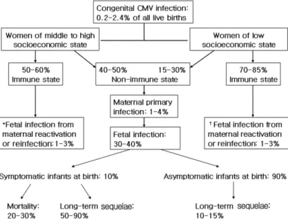 Fig. 1. A schema of congenital cytomegalovirus infection and its outcome. * † The  rate  of  symptomatic  infection  at  birth  is  less  than  1%