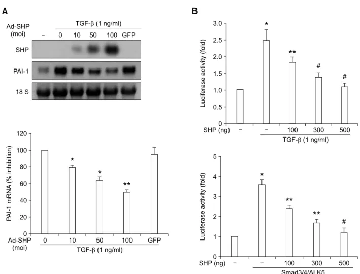 Figure 2.  Effect of SHP on TGF-β-stimulated PAI-1 mRNA expression and Smad3 activity
