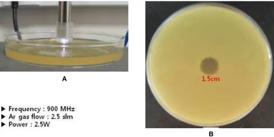 Fig. 4. The sterilization of Streptococcus mutans (S. mutans) by plasma. The plasma treatment of the agar plate (A)