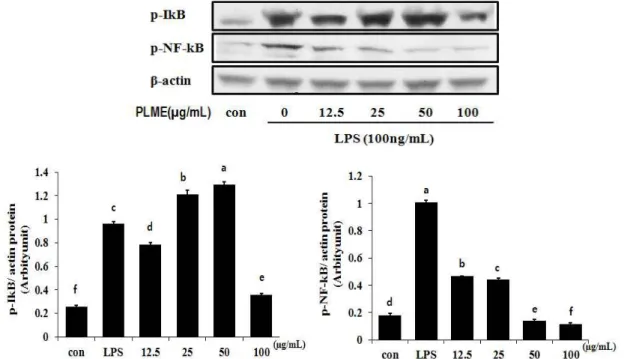 Fig. 4. Inhibition effects of methanol extracts of Picrasma quassioides leaves on the expression of p-IkB, p-NF-kB in LPS-stimulated RAW 264.7 cells