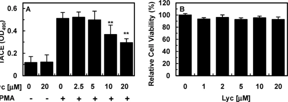 Fig. 4. Effect of lycopene on PMA-stimulated TACE expression. The effects of various concentrations of lycopene on PMA (1 μM, 1 h)-induced TACE expression were monitored by measuring TACE ELISA