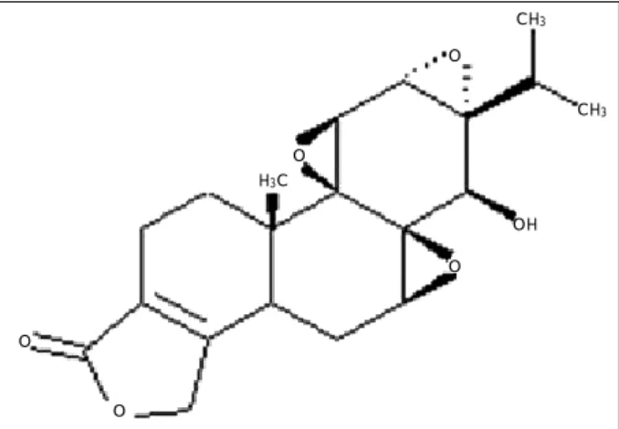 Fig. 1. The structure of triptolide. 