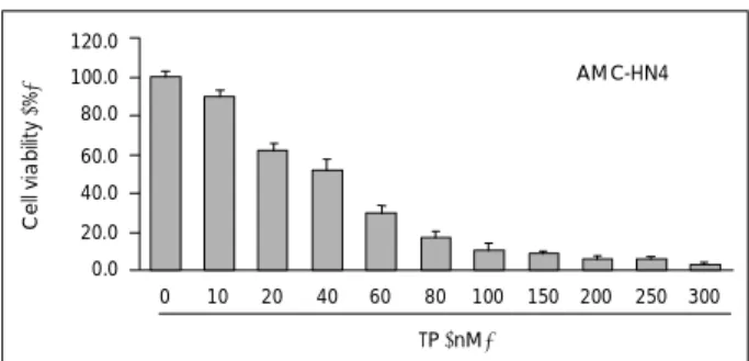 Fig. 2. TP suppresses the growth of AMC-HN4 cells in a dose- dose-dependent manner. AMC-HN4 cells were treated for 72 hours  with the indicated concentrations of TP, and their growth was  measured by XTT assay