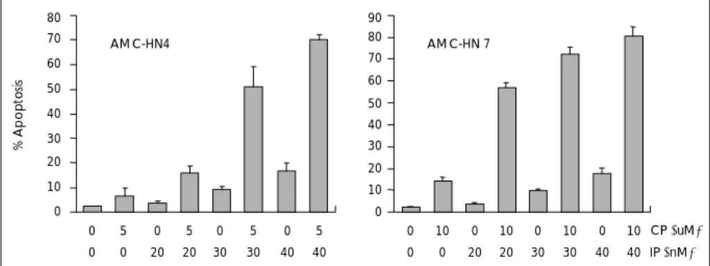 Fig. 6. Combination of TP and CP increased sub G1 cells of AMC-HN4 and AMC-HN7 cells. AMC-HN4 and AMC-HN7 cells were treated for 24 hours with the indicated  concen-trations of TP and/or CP and their DNA content was measured after propidium iodide staining