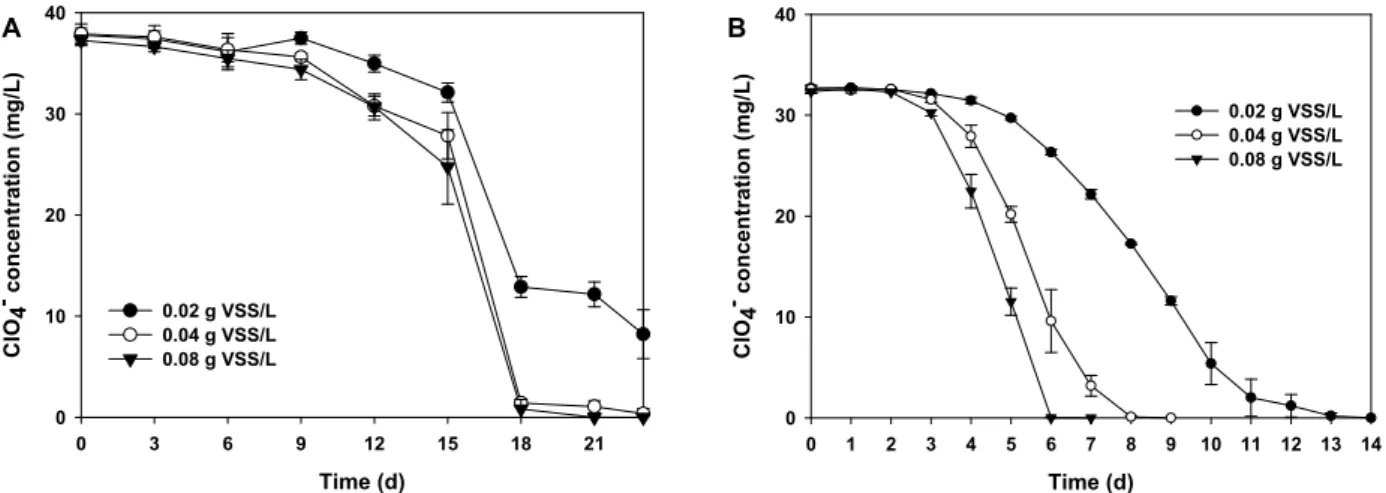Fig. 4. Effect of initial biomass concentration on perchlorate removal by activated sludge (A) or enrichment culture (B) in the presence of sulfur particles