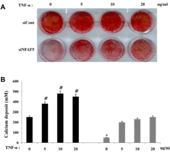 Fig. 3. Effect of NFAT5 down regulation on osteogenic differ- differ-entiation of hADSCs
