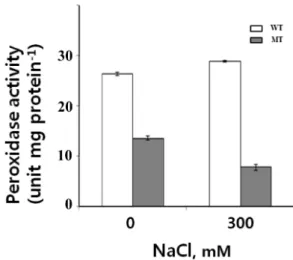 Fig. 8. Expression pattern of cytosolic APX , POX2 and AlaAT in wild type and alaat by salt treatment.