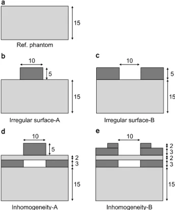 Fig.  1.  Phantom  geometries  used  in  this  evaluation  of  RTP 