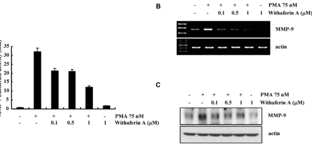 Fig. 1. Effect of withaferin A on PMA-induced MMP-9 activity.