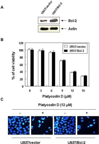 Fig. 5. Effects Bcl-2 over-expressing on the cell viability and apoptosis induced by platycodin D in U937 cells