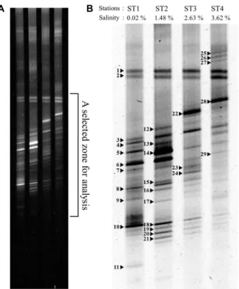 Fig. 3. Relatedness of bacterial community structures of each station. The tree is obtained based on binary codes of Table 3
