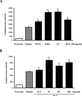 Fig. 2. Amplification and nucleotide sequence of hPrx 6 fragment. (A) For amplification of hPrx 6 promoter, the sense primer, (5'-GCGCT AGCGC ACCAA CACAT CACTG TGATG AAAAC-3'), harboring 441 enzyme site at 5' end, and the antisense primer, (5'-GCAGA TCTGA 