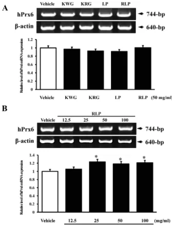 Fig. 5. Effects of four extracts on the SOD activity. NCI-H460 cells were cultured with one of the 4 different extracts for 24 hrs