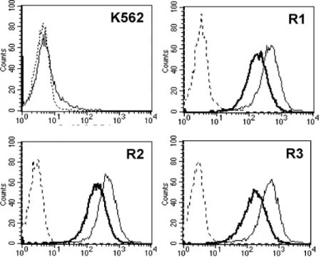Fig. 4. Change in expression of CD44 surface marker in imatinib-resistant K562 variants during long-term drug free culture