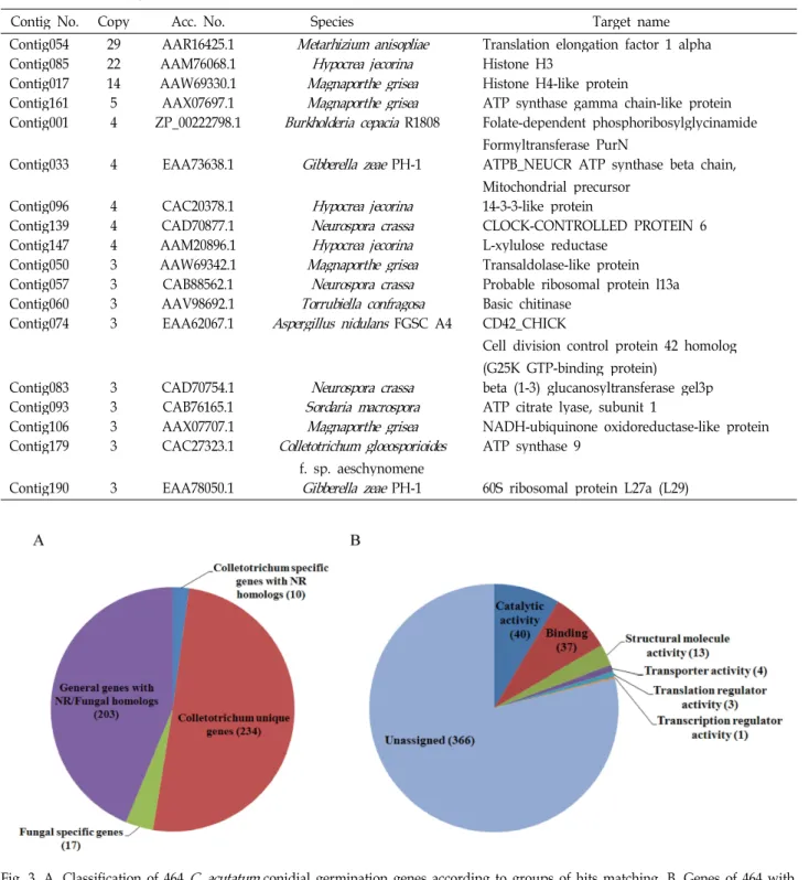 Table 1. Genes with putative identification of described function and redundantly expressed in the conidial germinating stage cDNA library of C