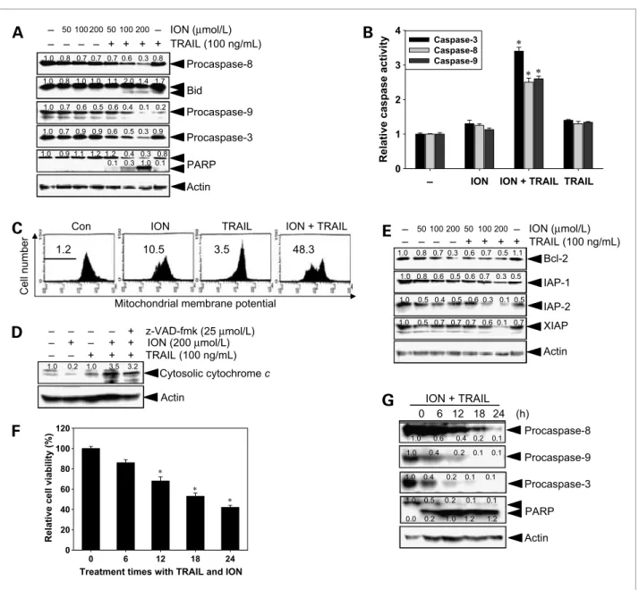 Figure 2. Effect of ION and/or TRAIL on the expression of caspases and various intracellular regulators of apoptosis