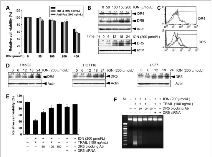 Figure 3. Effect of ION on DR4 and DR5 expression. A, HepG2 cells were treated with the indicated concentrations of ION with or without 100 ng/mL TNF- α or 100 ng/mL anti-Fas antibody for 24 h