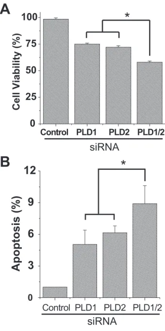 FIGURE 10. Depletion of PLD increases apoptosis and reduces cell viabil- viabil-ity. HCT116 cells were transfected with control siRNA or siRNA specific for PLD1 or PLD2