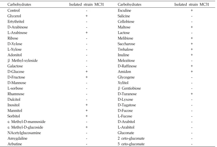 Table 3. Characteristics of carbohydrate fermentation of strain No. MC31 isolated from Chungkookjang by API 50 CHB