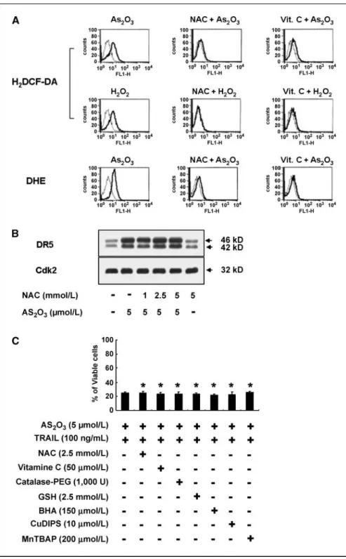 Figure 4. ROS generation is not critical for As 2 O 3 -induced DR5 up-regulation and the cell death induced byAs 2 O 3 plus TRAIL