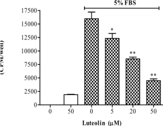 Fig. 2. Effect of luteolin on the FBS-induced VSMC proliferation.