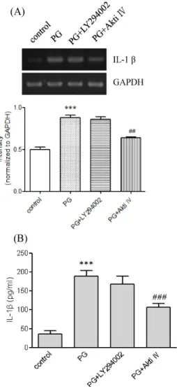 Fig. 2. Effects of OxPAPC and polymyxin B on PG-mediated IL-1β up-regulation. (A) THP-1 cells were stimulated for 9 hr with or without PG (1 μg/ml) after treatment for 1 hr with OxPAPC (30 μg/ml) or polymyxin B (10 mg/ml)