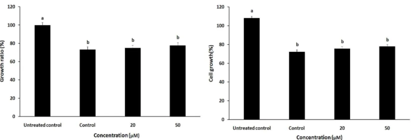 Fig. 2. Effects of CLA on the growth of cardiomyoblast H9c2 cell treated with 500 μM H 2 O 2 