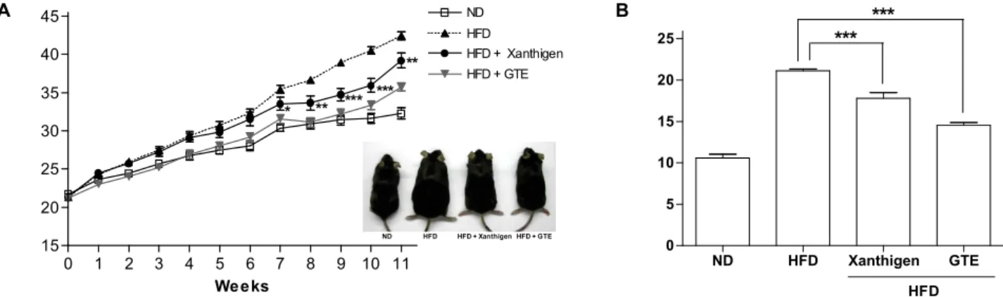 Fig. 2. Effect of Xanthigen on body weight in high-fat diet-induced obese mice. (A) Body weight was measured weekly