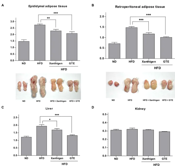 Fig. 3. Effect of Xanthigen on organ weights in high-fat diet-induced obese mice. (A) Epididymal adipose tissue, (B) retroperitoneal adipose tissue, (C) liver, and (D) kidney were removed from the mice after fasting for 15-h at the end of study