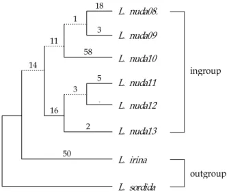 Fig. 4. Strict consensus tree of the 21 most parsimony trees about Lepista ITSⅠ and Ⅱ region sequence result