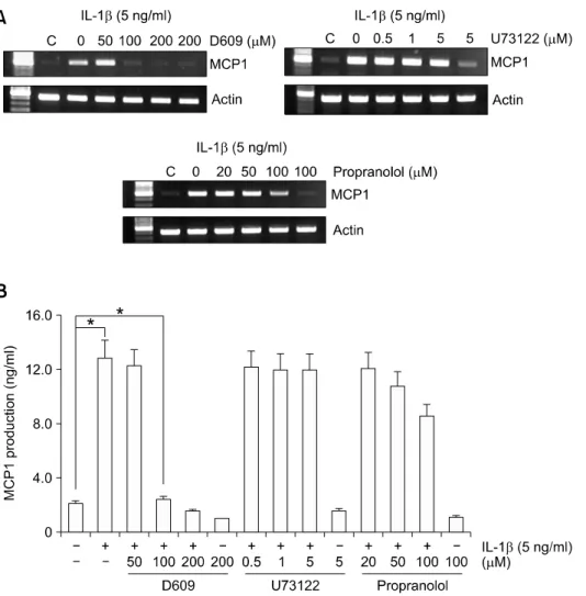 Figure  2.  IL-1β-induced MCP1 ex- ex-pression is decreased by the PC-  PLC inhibitor, D609 in HASMCs