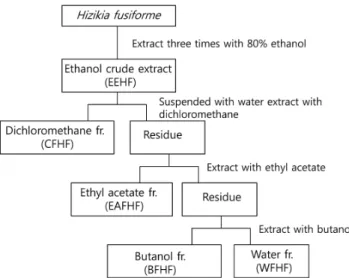 Fig. 1. Fractionation procedure of H. fusiforme . Fractionations were separated by separatory funnel.genic regulator)들이 분화의 초기와 후기에 발현되거나 감소되면서 adipogenesis를 조절하는 것으로 알려져 있다[16].일반적으로 해조류는 육상식물과는 다른 환경에서 서식하기 때문에 생체 내 2차 대사산물의 화학구조가 매우 독특하며,해양천연물의 2차 대사산물은