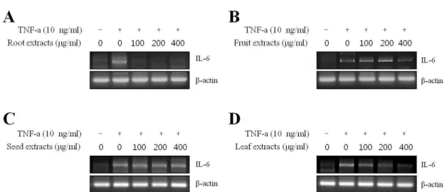 Fig. 4. Effect of extracts from different parts of moringa on TNF-α-induced IL-6 expression in HaCaT keratinocyte