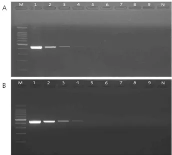 Fig. 2. Sensitivity test of PCR with 10-fold diluted samples;