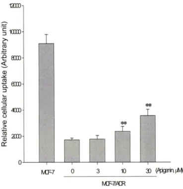 Fig.  2 에서  보여주듯  MCF-7/ADR  cell에  p-gp가  overex­