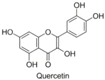 Fig.  1 - Chemical  structure  of  quercetin.