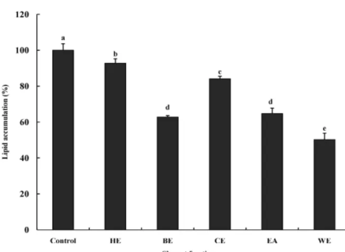Fig. 4. Effect of red garlic solvent extract on the lipid content in 3T3-L1 adipocytes