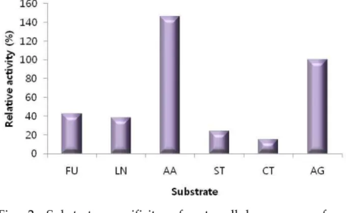 Fig. 1. Phylogenetic location of SC092 based on the partial 16S rDNA sequence. The phylogenetic tree was constructed based on the alignment of complete 16S rDNA sequences