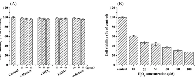 Fig. 3. Concentration-dependent effects of fractions from S . chinensis extract (A) or H 2 O 2 (B) on HDF cell growth