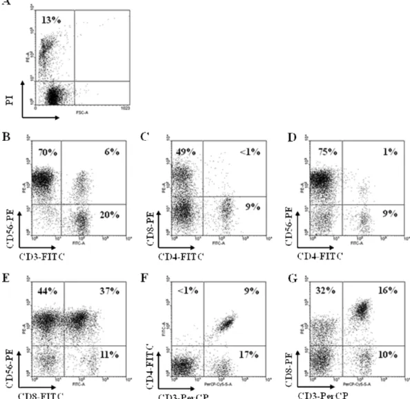 Fig. 1 − The phenotypic characterization of the autologous activated NK cells, which was used in injection of nude mouse xenograft assay.