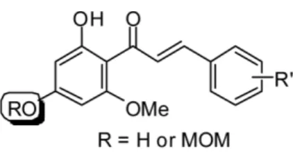 Fig. 2 − The target derivatives of 2'-hydroxychalcone and 2',4'- 2',4'-dihydroxychalcone.